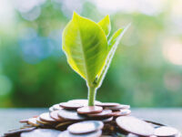 Navigating tough times: how small businesses can grow against the odds